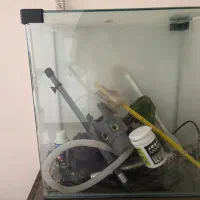 اکواریوم با لوازم خوب