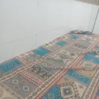 مدارک شناسایی و سکه طلا گمشده مژدگانی