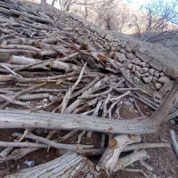 انواع چوب باغی و سقفی