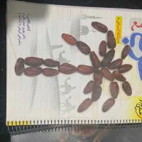 کتاب کنکوری