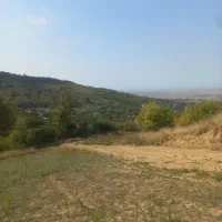 فروش زمین جنگلی و باغی با ویو عالی|فروش زمین و ملک کلنگی|بهشهر, |دیوار