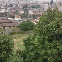 مشارکت در ساخت زمین ۱۱۵۰ متری