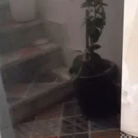 تلوزیوین جی پلاس