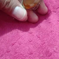 انگشتر معاوضه با پرنده|بدلیجات|اهواز, کمپلو شمالی|دیوار