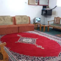 سوعیت-جنگلی