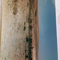 فروش زمین دیمزار