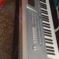 korg