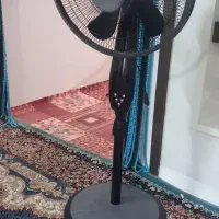 پنکه دل مونتی