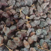 مویزاعلاگوشتی|خوردنی و آشامیدنی|اشتهارد, |دیوار