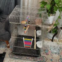 قفس کاسکویی بزرگ نو