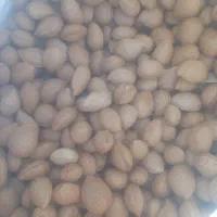 بادام|خوردنی و آشامیدنی|بوانات, |دیوار