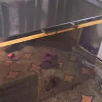 فریزر صندوقی