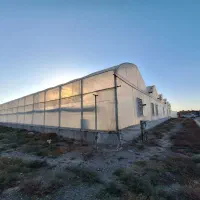 ۲هکتار* ۶هزارمتر گلخانه * فول امکانات