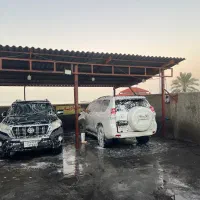 نیرو کارواش