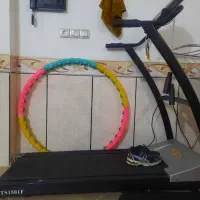 حلقه شکم