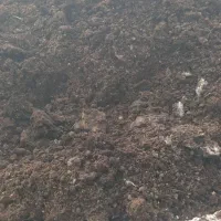 کود گوسفندی|خدمات باغبانی و درختکاری|شیراز, گویم|دیوار