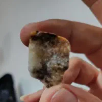 سنگ شجر فروشی توافقی