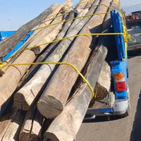 خرید چوب درخت قلمه، دام آغاجی ضایعات در باغ و حیاط|خدمات باغبانی و درختکاری|خوی, |دیوار