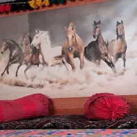 طراحی عکس روی دیوار