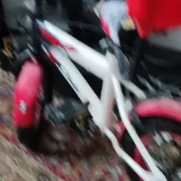دوچرخه بچگانه 14