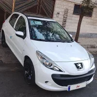 207 پاناروما مدل 1405 خشک
