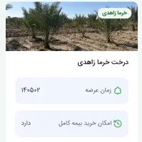 سرمایه گذاری در کشاورزی