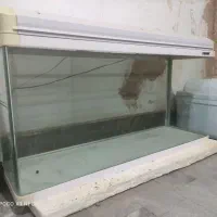 آکواریم ‌خارجی شیشه خم