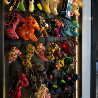 کاور دسته ps4 ps5 xbox ps2