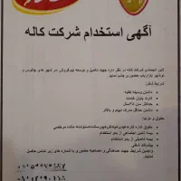 جذب همکار فروش در نوشهر|استخدام بازاریابی و فروش|نوشهر, |دیوار