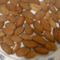 مغز بادام تلخ