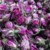 عرقیجات و گلاب آنا
