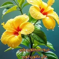 نیازمند پرستار آقا برای سالمند اقا