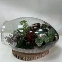 تراریوم امیستا گل مدل رخشان