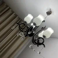 لوستر چوب و شیشه و کریستالی|لوستر و چراغ آویز|شیراز, ملاصدرا|دیوار