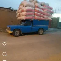 کاه نرم گوسفندی