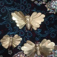 زنبور برنزی850