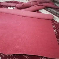 موکت سالم ونو