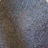 کشمش افتابی بواناتی