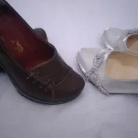 دوجفت کفش مجلسی