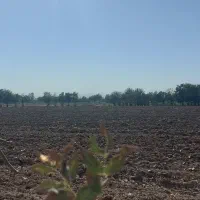 زمین کشاورزی|فروش دفتر صنعتی، کشاورزی، تجاری|ری, شهرک نظامی|دیوار