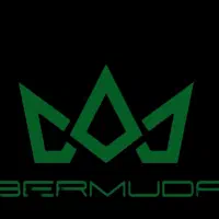 کار در منزل با درامد عالی