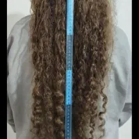 بدون واسطه و دلال