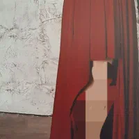 تعدادی لباس مجلسی|لباس|وحیدیه, |دیوار