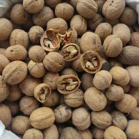 مغز گردو درجه یک و شکری|خوردنی و آشامیدنی|قم, خاکفرج|دیوار