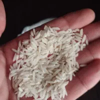 فروش برنج