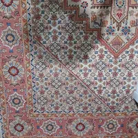 فرش|فرش|رشت, قاسمیه|دیوار