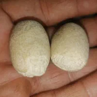 سنگ گبری|جواهرات|اهواز, بهارستان|دیوار