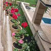 اجرای سیستم آبیاری قطره ای هوشمند، باغبانی