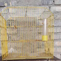 قفس پرنده