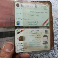 مدارک وانت پیدا شده